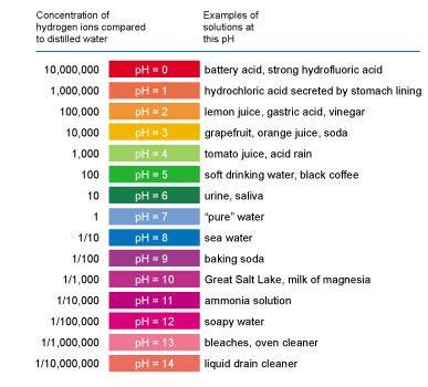 a pH scale chart