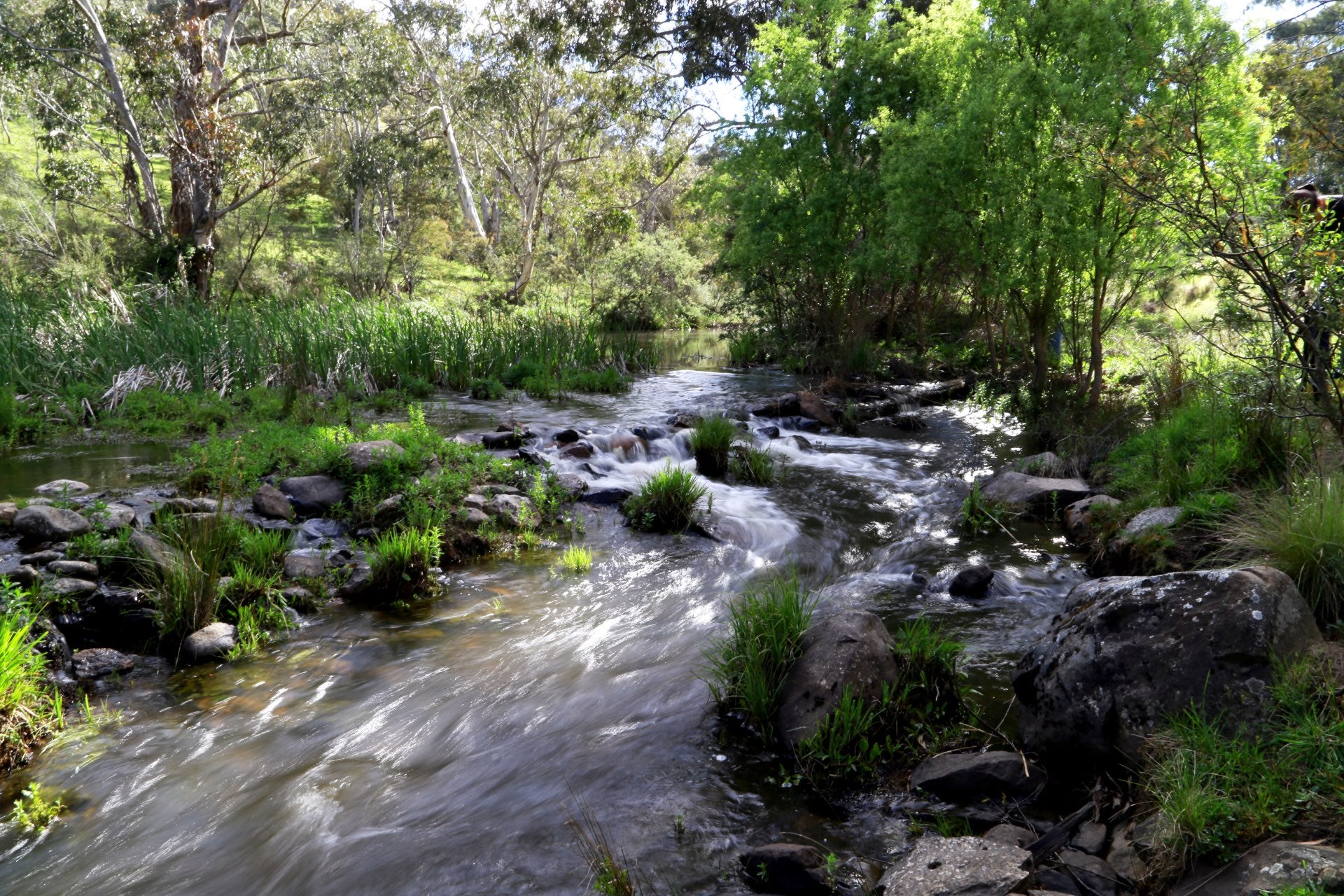 water flowing down a river at alkalife's source