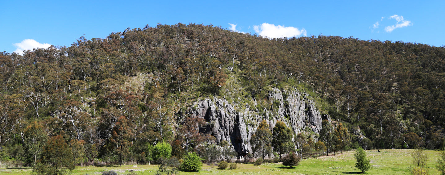 photo of a limestone rock face at alkalife's source